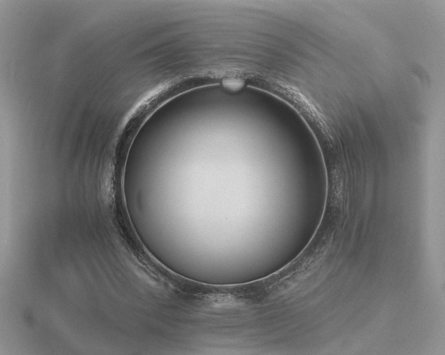 X0000116480392200912091404