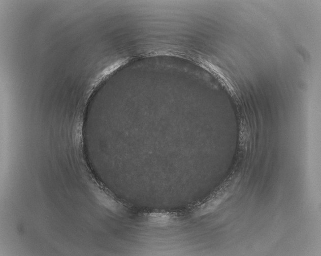 X0000116480394200912091404