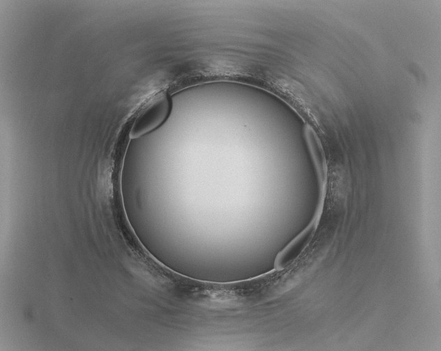 X0000116480395200912091404