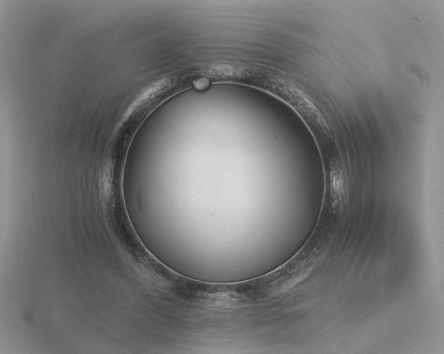 X0000116480396200912091404