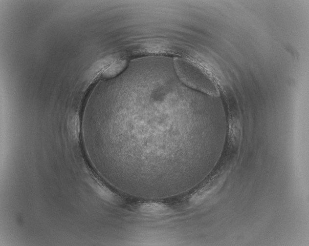 X0000116480397200912091404