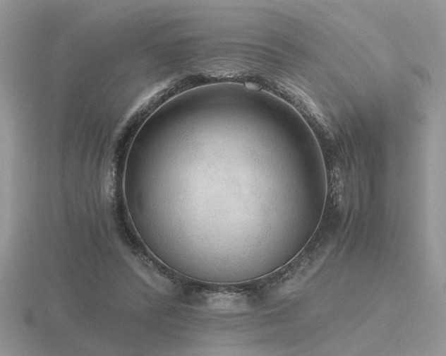 X0000116480400200912091404