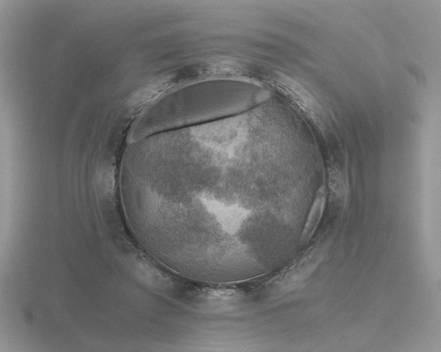 X0000116480401200912091404