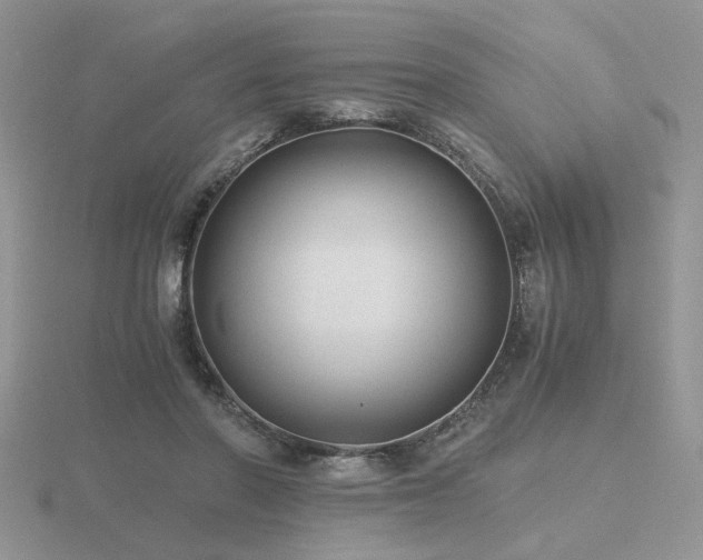 X0000116480406200912091404