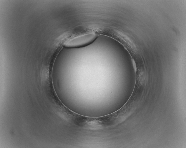 X0000116480407200912091404