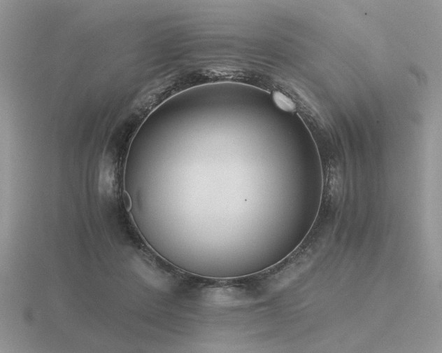 X0000116480408200912091404