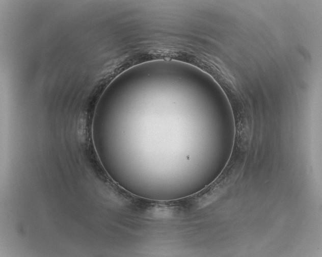 X0000116480416200912091404