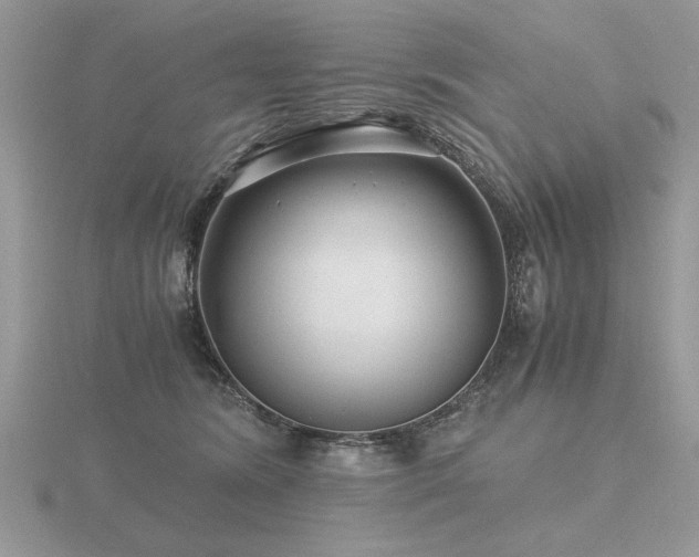 X0000116480420200912091404