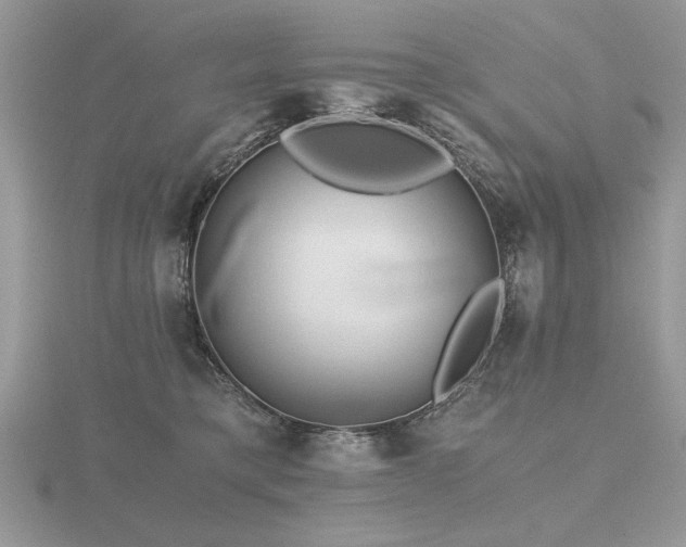 X0000116480421200912091404