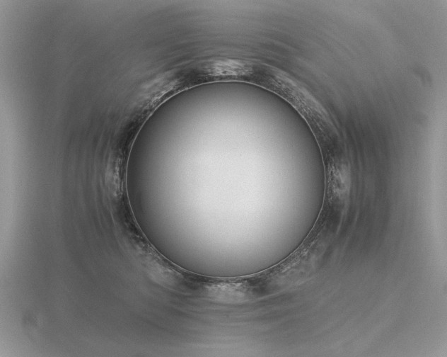 X0000116480422200912091404