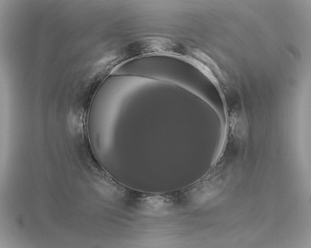 X0000116480423200912091404