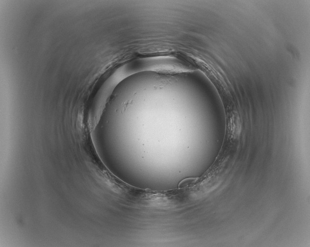 X0000116480424200912091404