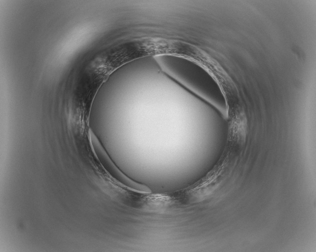 X0000116480429200912091404