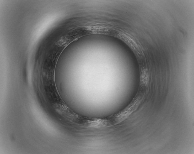 X0000116480430200912091404