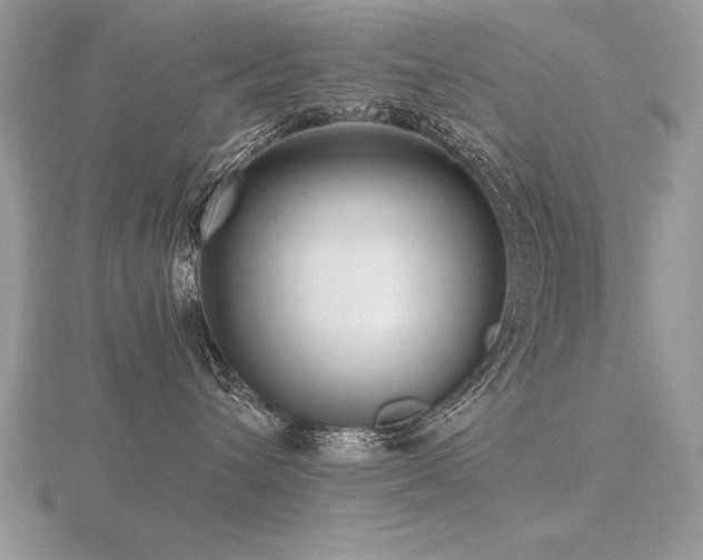 X0000116480432200912091404