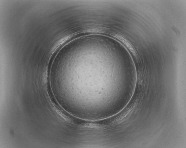 X0000116480437200912091403