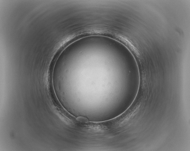 X0000116480439200912091403