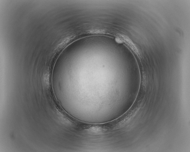 X0000116480441200912091403