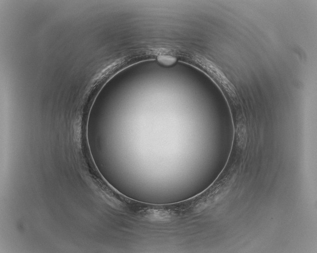 X0000116480442200912091403