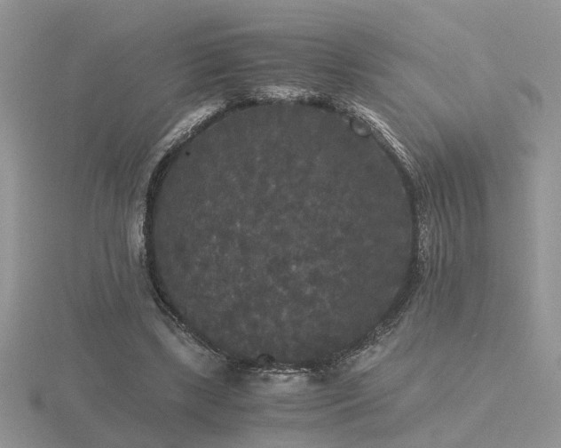 X0000116480443200912091403