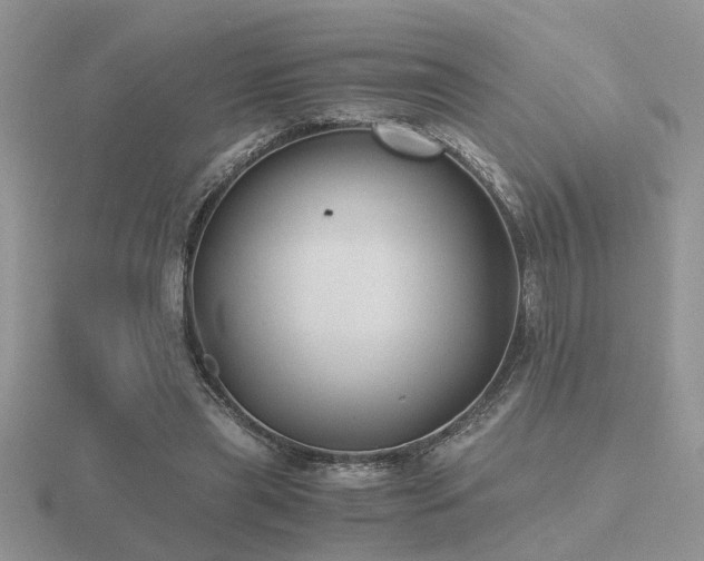 X0000116480445200912091403