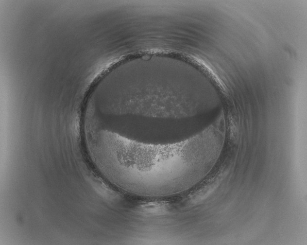 X0000116480447200912091403