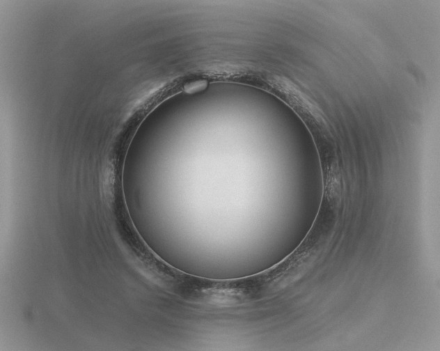 X0000116480448200912091403