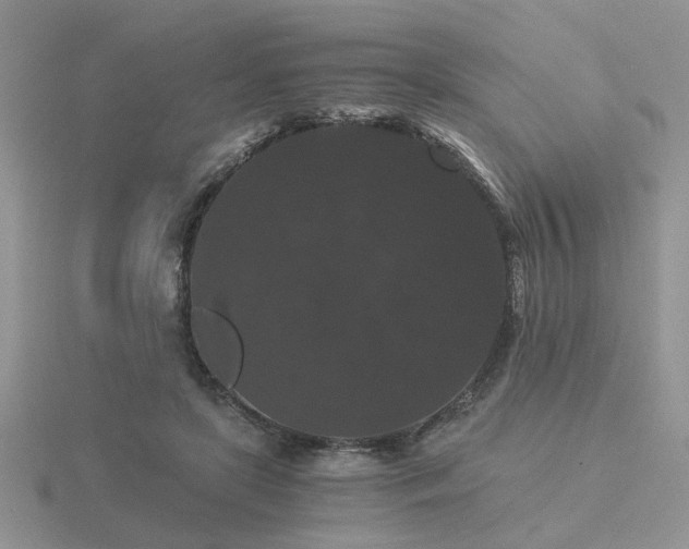 X0000116480451200912091403