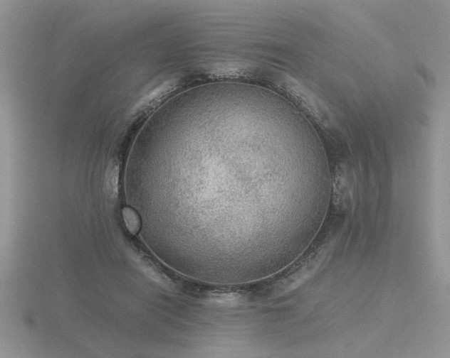 X0000116480454200912091403