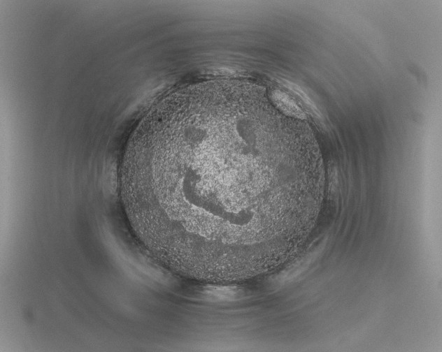 X0000116480457200912091403