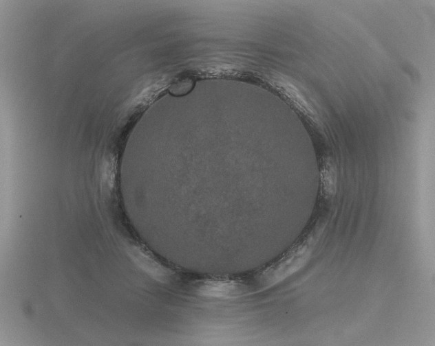 X0000116480458200912091403