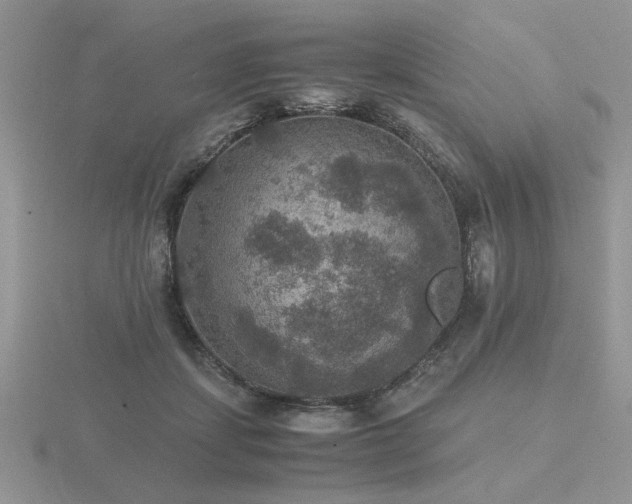 X0000116480459200912091403