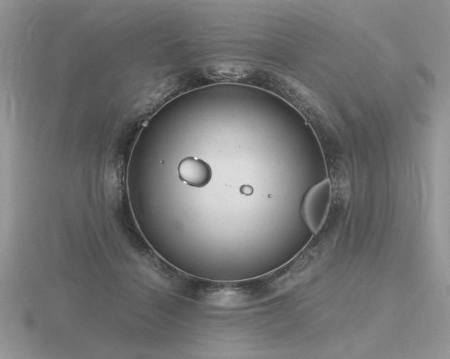 X0000116480460200912091403