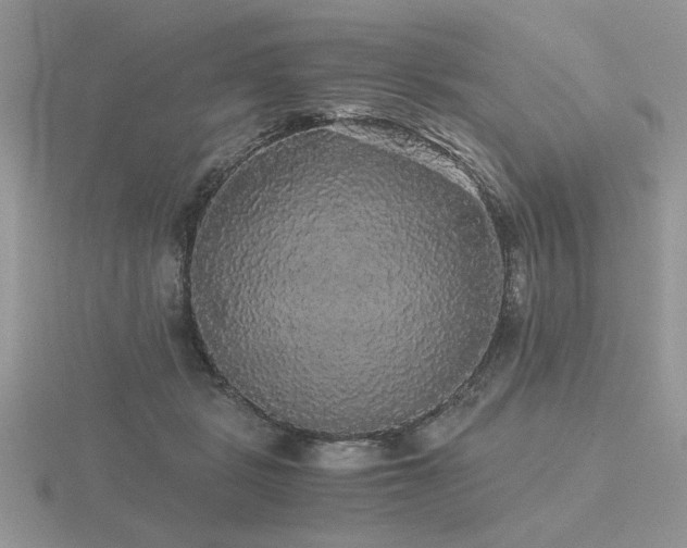 X0000116480461200912091404