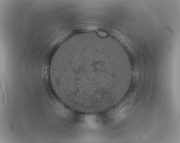 X0000116480462200912091404