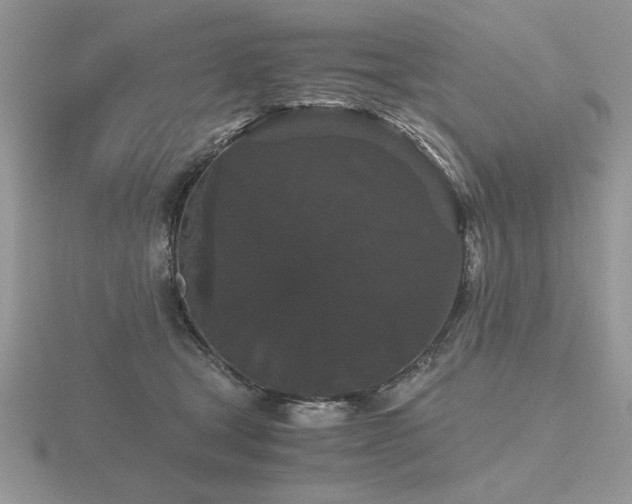 X0000116480465200912091404