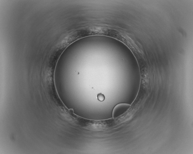 X0000116480466200912091404