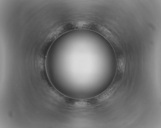 X0000116480470200912091404