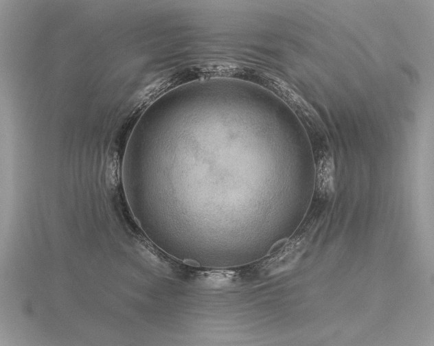 X0000116480474200912091404