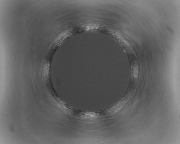 X0000116480475200912091404