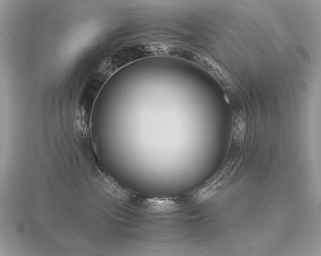 X0000116480477200912091404