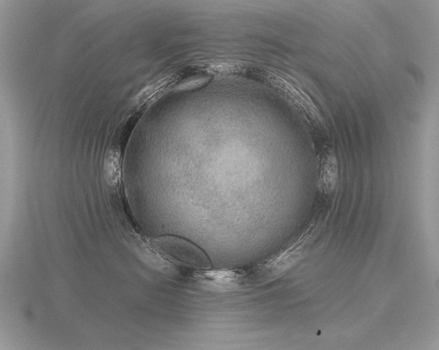 X0000116480478200912091404