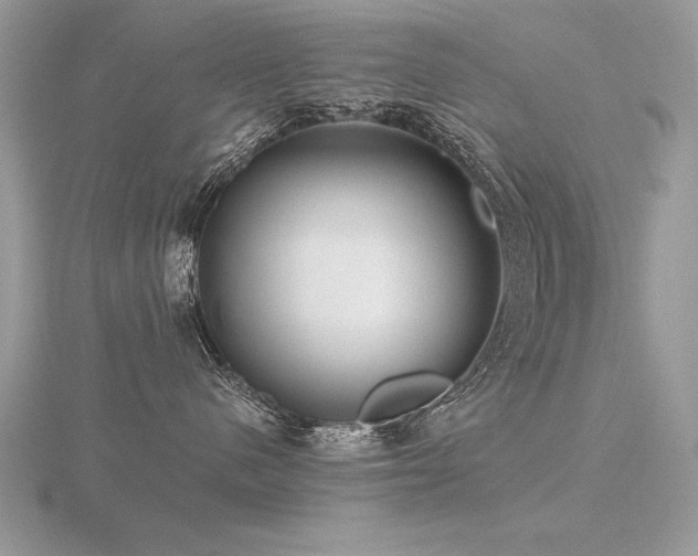 X0000116480480200912091404