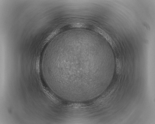 X0000116480482200912091403