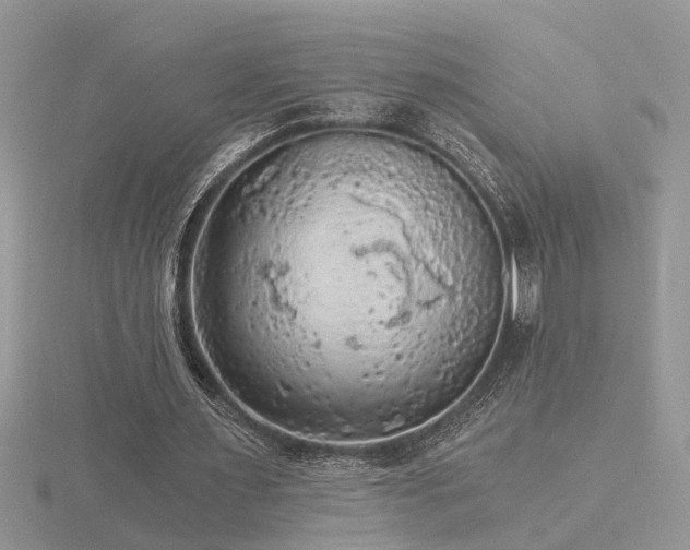 X0000116480483200912091403