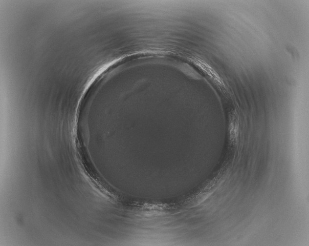 X0000116480484200912091403