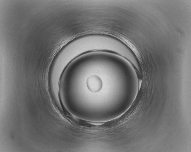 X0000116480485200912091403