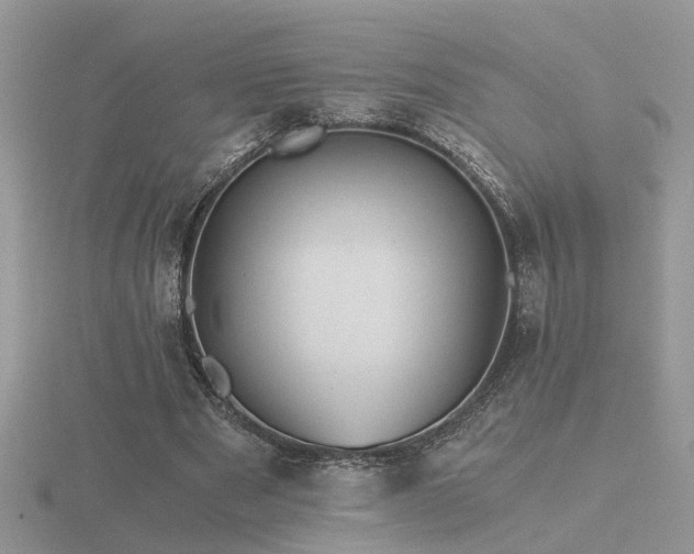 X0000116480489200912091403