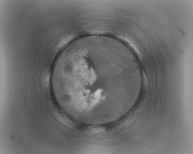 X0000116480491200912091403