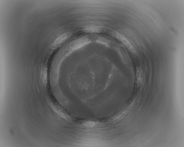 X0000116480494200912091403